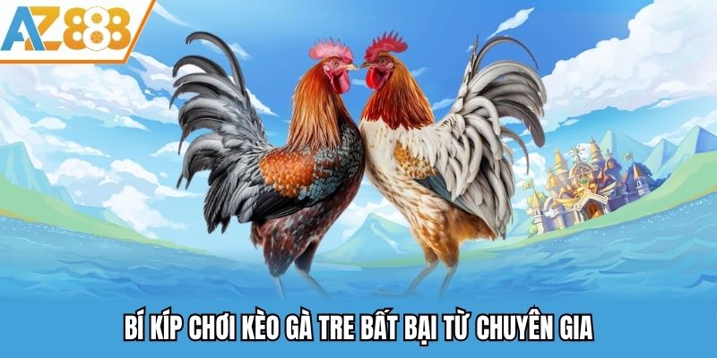 Bí kíp chơi kèo gà tre bất bại từ chuyên gia