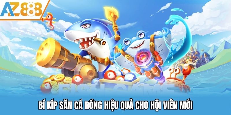 Bí kíp săn cá rồng hiệu quả cho hội viên mới