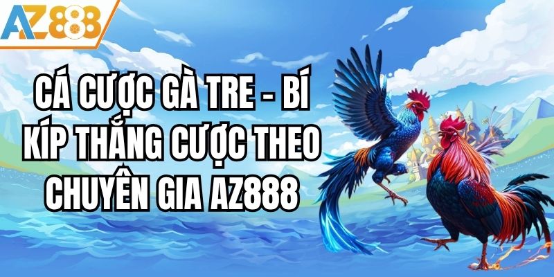 Cá Cược Gà Tre - Bí Kíp Thắng Cược Theo Chuyên Gia AZ888