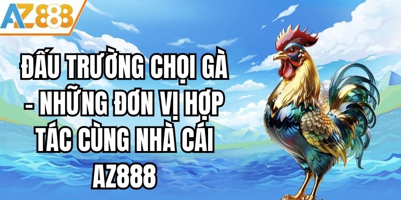 Đấu Trường Chọi Gà - Những Đơn Vị Uy Tín Hợp Tác Cùng AZ888
