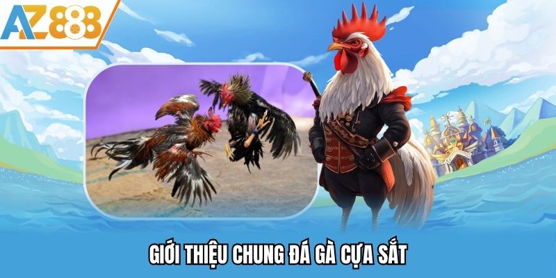 Giới thiệu chung đá gà cựa sắt