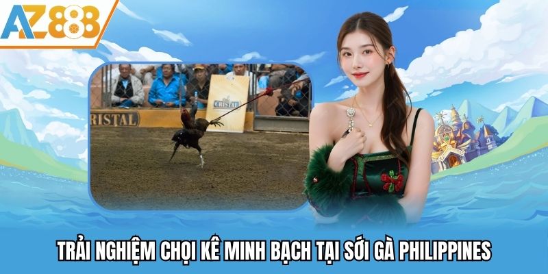 Trải nghiệm chọi kê minh bạch tại sới gà Philippines
