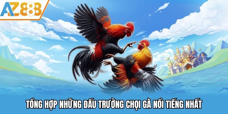 Top 3 đấu trường chọi gà hấp dẫn nhất Châu Á